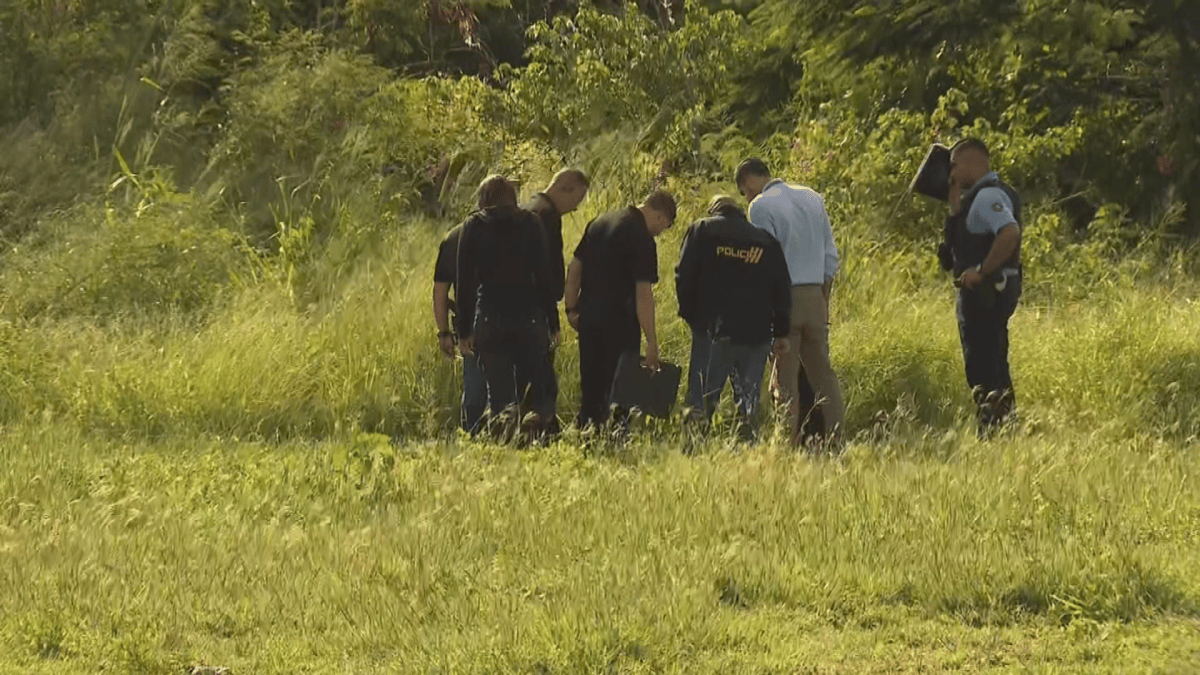 Hallan hombre baleado en Guayama; podría ser el exactivista Félix Plaud