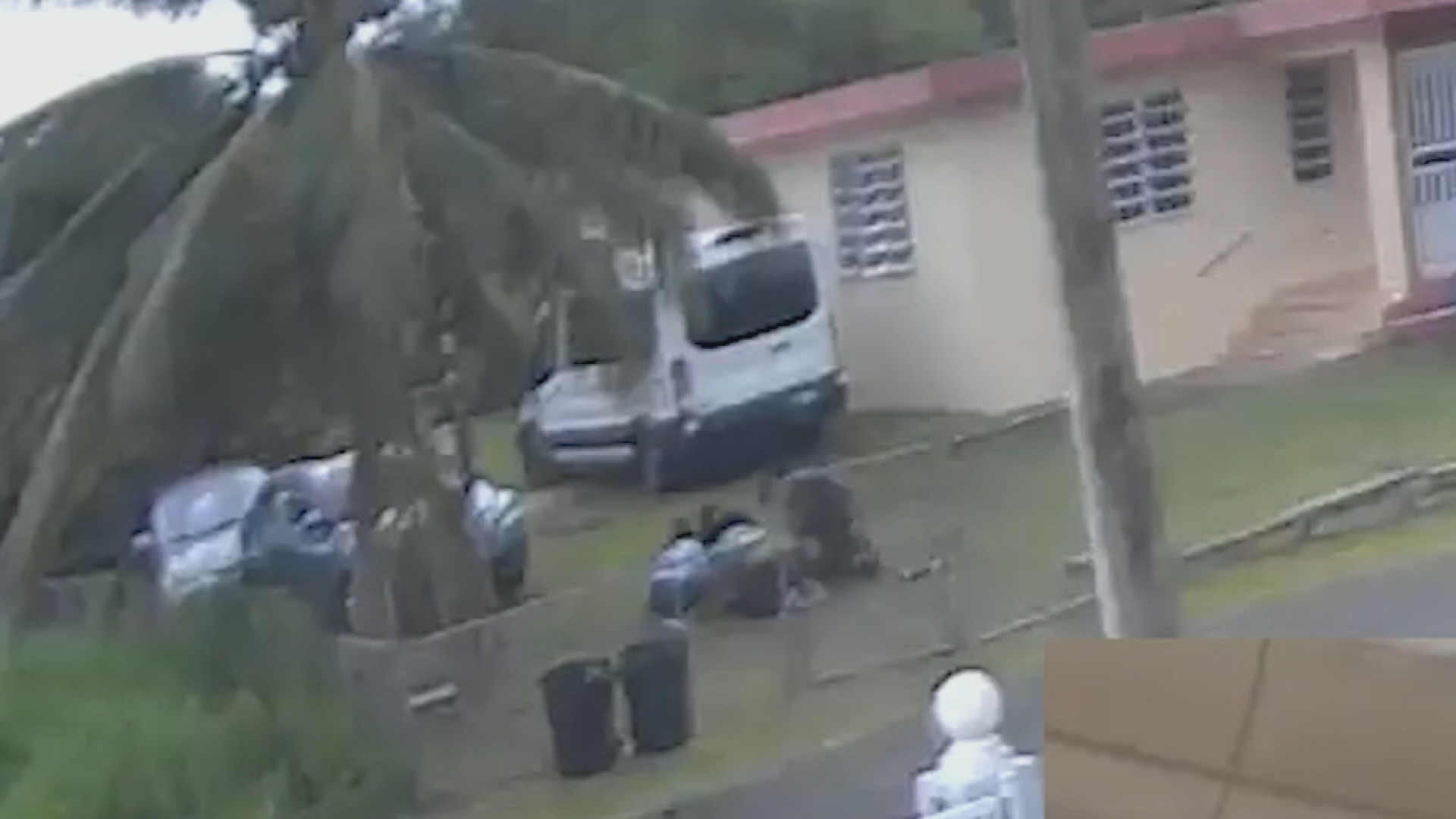 Imagen del artículo de Telemundo PR: Desconsolados padres de joven participante de hogar señalado por maltrato
