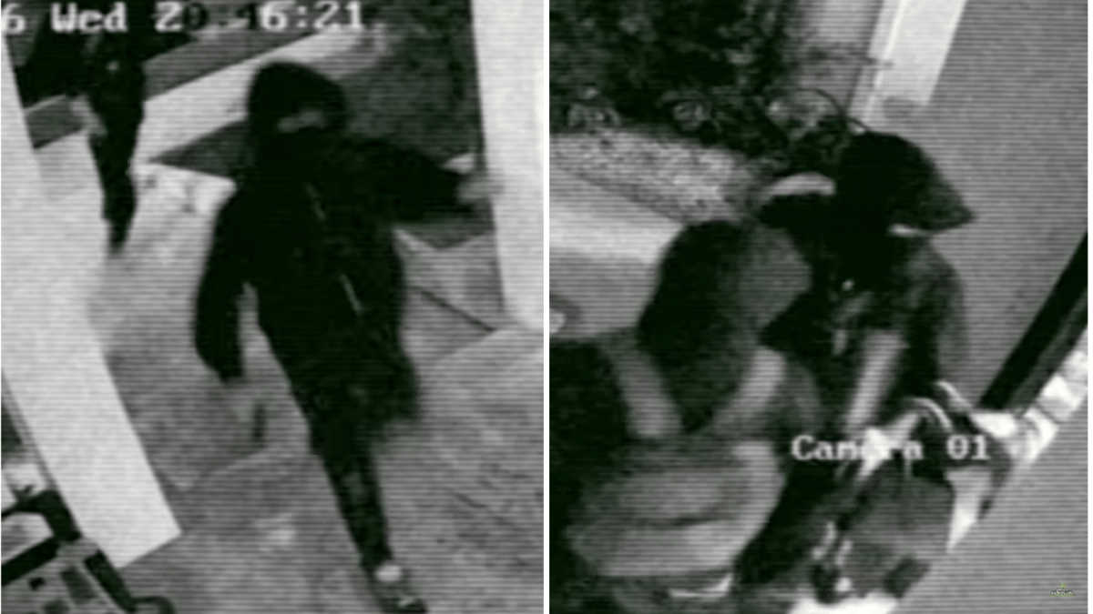 Nio García revela imágenes de violento robo en su residencia de Guaynabo